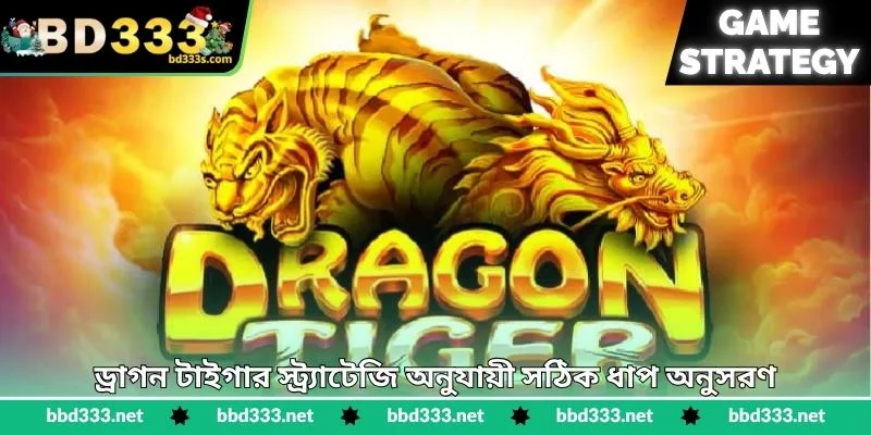 Dragon Tiger Strategy - দ্রুত জয়ের কার্যকর পরিকল্পনা - BD333 4 ড্রাগন টাইগার স্ট্র্যাটেজি অনুযায়ী সঠিক ধাপ অনুসরণ