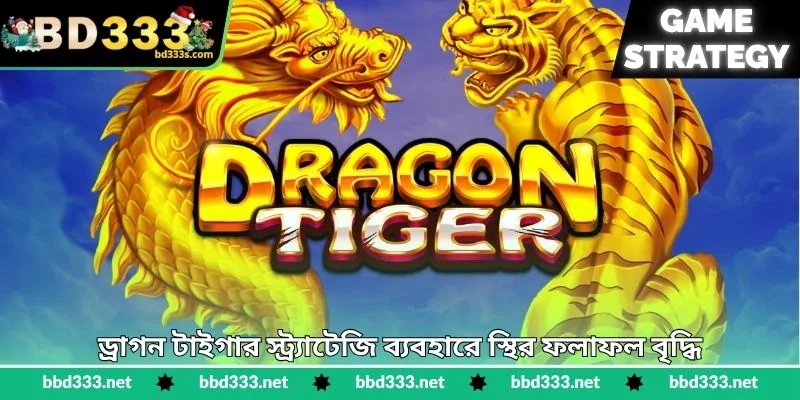 Dragon Tiger Strategy - দ্রুত জয়ের কার্যকর পরিকল্পনা - BD333 2 ড্রাগন টাইগার স্ট্র্যাটেজি ব্যবহারে স্থির ফলাফল বৃদ্ধি